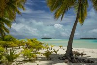 3.9.16 One Foot Under the Palms.jpg