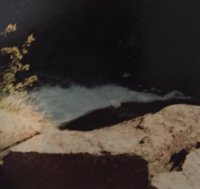 IMG_0982.JPG IMG_0982.JPG