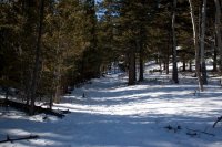 IMG_5603.jpg