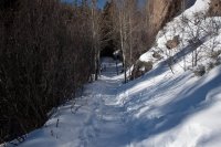 IMG_5605.jpg