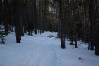 IMG_5609.jpg