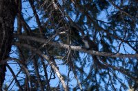 IMG_5615.jpg