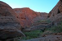 IMG_7618_edit.jpg IMG_7618_edit.jpg