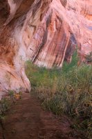 IMG_7624_edit.jpg IMG_7624_edit.jpg