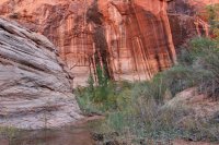 IMG_7625_edit.jpg IMG_7625_edit.jpg