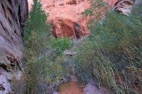 IMG_7629_edit.jpg IMG_7629_edit.jpg