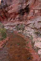 IMG_7630_edit.jpg IMG_7630_edit.jpg