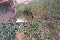 IMG_7636.JPG IMG_7636.JPG