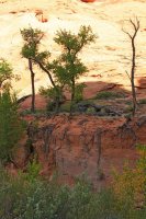 IMG_7649_edit.jpg IMG_7649_edit.jpg