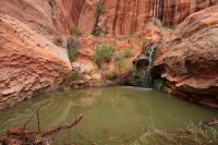 IMG_7660_edit.jpg IMG_7660_edit.jpg