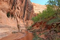 IMG_7671_edit.jpg IMG_7671_edit.jpg