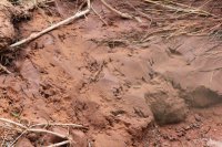 IMG_7673.JPG IMG_7673.JPG