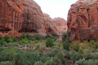 IMG_7684_edit.jpg IMG_7684_edit.jpg