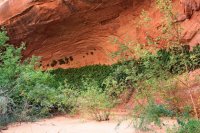 IMG_7687_edit.jpg IMG_7687_edit.jpg