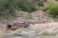 IMG_7691.JPG IMG_7691.JPG