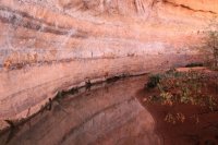 IMG_7695.JPG IMG_7695.JPG