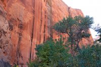 IMG_7698_edit.jpg IMG_7698_edit.jpg