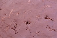 IMG_7702.JPG IMG_7702.JPG