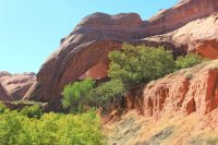 IMG_7703_edit.jpg IMG_7703_edit.jpg