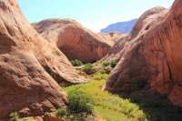 IMG_7715_edit.jpg IMG_7715_edit.jpg