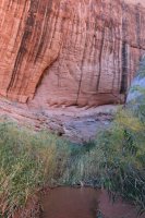 IMG_7742.JPG IMG_7742.JPG