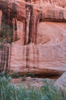 IMG_7745_campAlcove.JPG IMG_7745_campAlcove.JPG