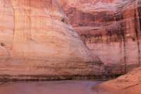 IMG_7787.JPG IMG_7787.JPG