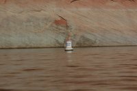 IMG_7802.JPG IMG_7802.JPG