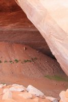 IMG_7816.JPG IMG_7816.JPG