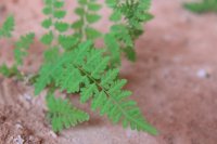 IMG_7857.JPG IMG_7857.JPG