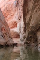 IMG_7886.JPG IMG_7886.JPG