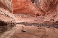 IMG_7887.JPG IMG_7887.JPG