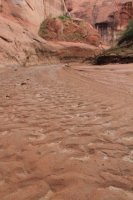 IMG_7902.JPG IMG_7902.JPG