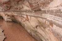 IMG_7907.JPG IMG_7907.JPG