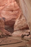 IMG_7908.JPG IMG_7908.JPG