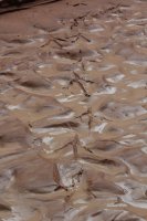 IMG_7909.JPG IMG_7909.JPG