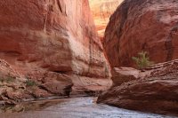 IMG_7915_edit.jpg IMG_7915_edit.jpg