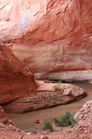 IMG_7924_edit.jpg IMG_7924_edit.jpg