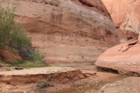 IMG_7898.JPG IMG_7898.JPG