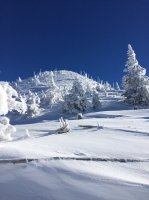 IMG_1336.JPG IMG_1336.JPG