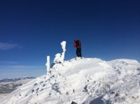 IMG_1350.JPG IMG_1350.JPG