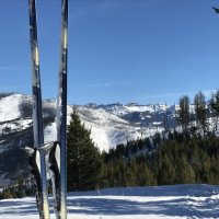 IMG_2675.JPG IMG_2675.JPG