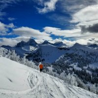 IMG_20170122_122326_705.jpg IMG_20170122_122326_705.jpg