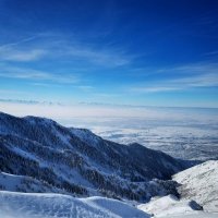 IMG_20170128_110706_309.jpg IMG_20170128_110706_309.jpg