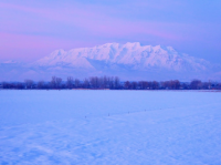 upload_2017-1-31_8-35-56.png upload_2017-1-31_8-35-56.png