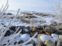 upload_2017-1-31_8-36-18.png upload_2017-1-31_8-36-18.png