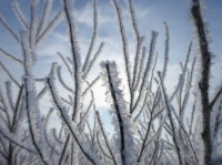 upload_2017-1-31_8-37-2.png upload_2017-1-31_8-37-2.png