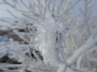 upload_2017-1-31_8-38-28.png upload_2017-1-31_8-38-28.png