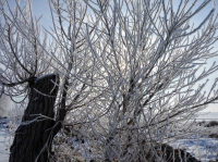 upload_2017-1-31_8-39-19.png upload_2017-1-31_8-39-19.png