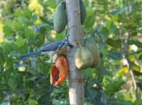 _73A8293.jpg _73A8293.jpg